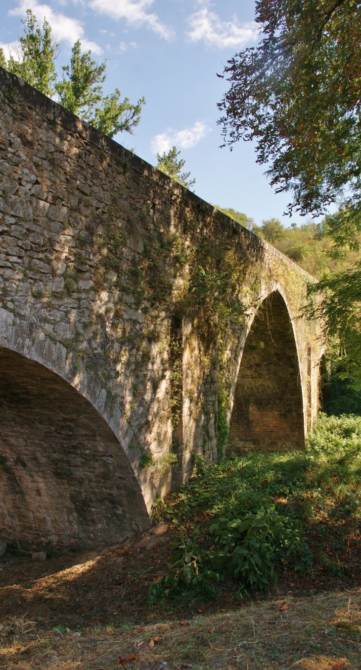 Pont de Candéze 12/13 Em Siècle - Monestiés