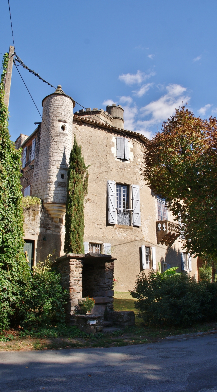 Le Château de Monestiés