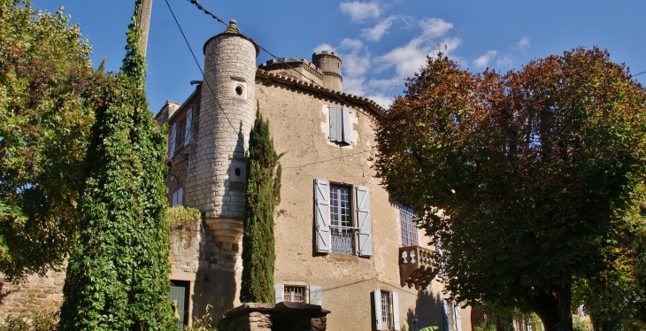 Le Château de Monestiés