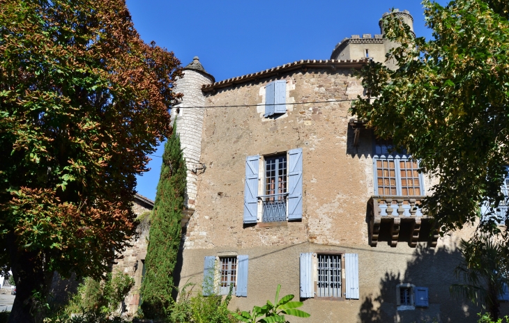 Le Château de Monestiés