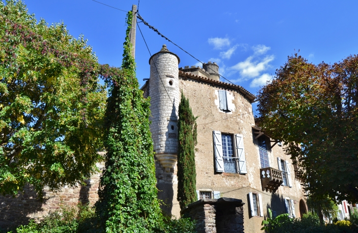 Le Château de Monestiés