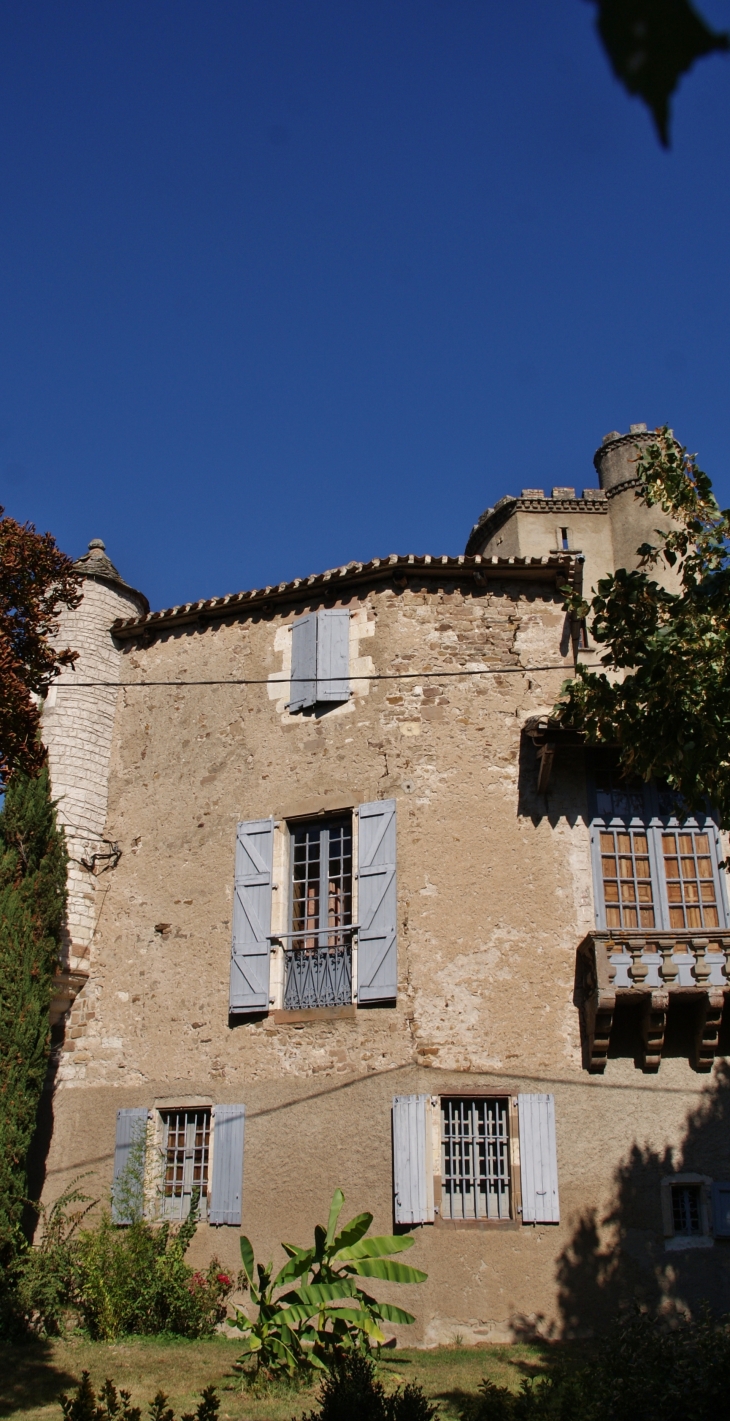 Le Château de Monestiés