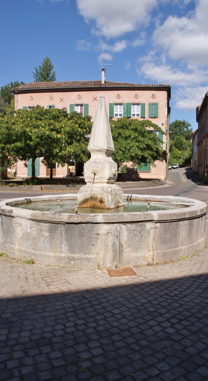 Fontaine Le Griffoul ( 1645 ) - Monestiés