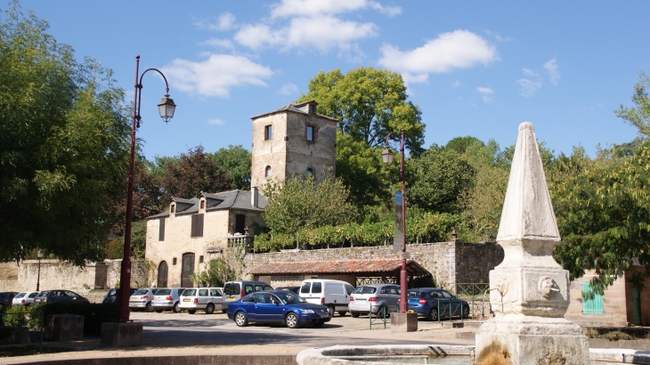 Fontaine Le Griffoul ( 1645 ) - Monestiés