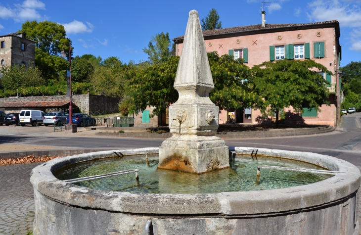 Fontaine Le Griffoul ( 1645 ) - Monestiés