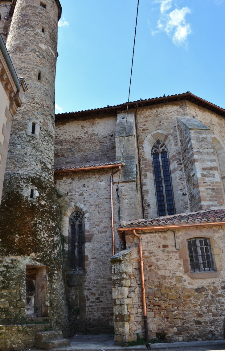 *Eglise Saint-Pierre ( 1550 ) - Monestiés