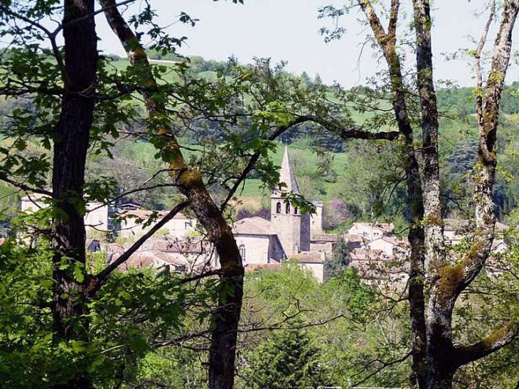 Vue sur le village - Monestiés