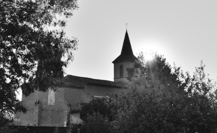 ...Eglise Saint-Martin de Calmes - Montredon-Labessonnié