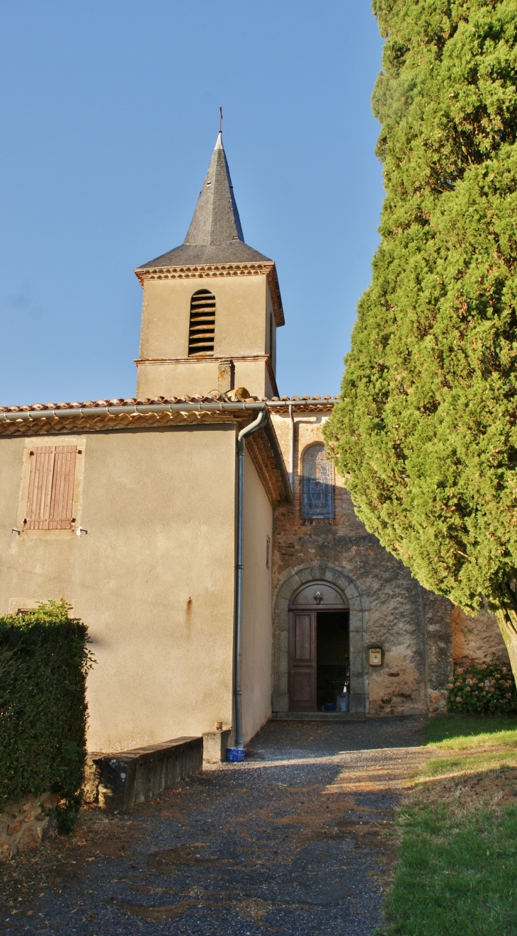 ...Eglise Saint-Martin de Calmes - Montredon-Labessonnié