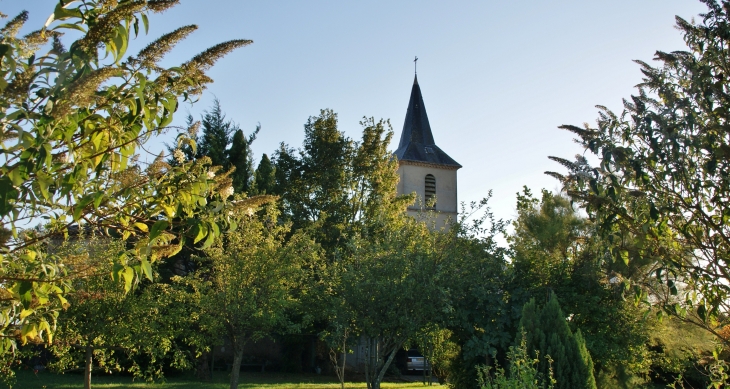 ...Eglise Saint-Martin de Calmes - Montredon-Labessonnié