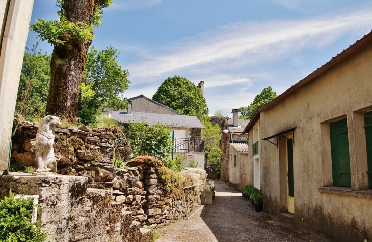 Le Village - Murat-sur-Vèbre