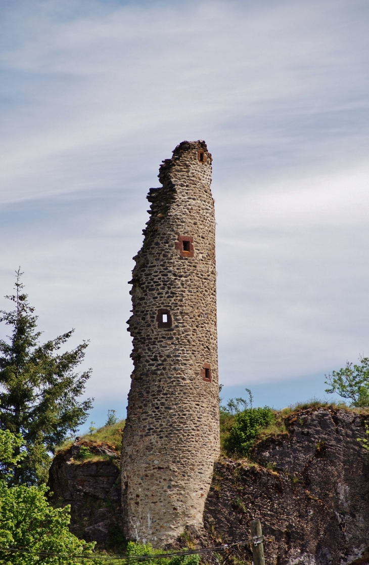 La Tour - Murat-sur-Vèbre