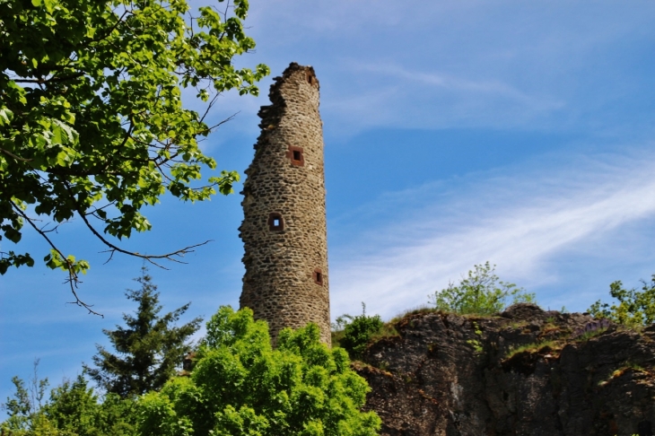 La Tour - Murat-sur-Vèbre