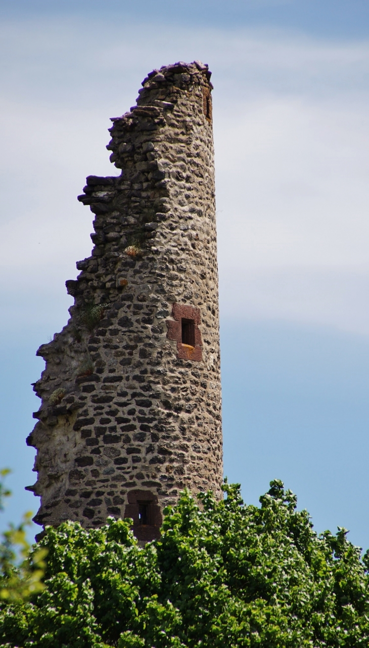 La Tour - Murat-sur-Vèbre