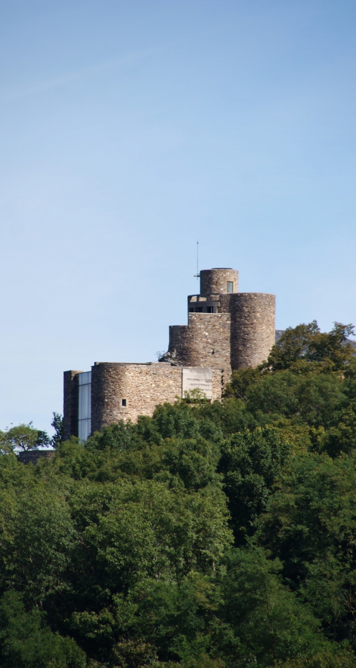 Château de Paulin 15 Em Siècle  - Paulinet