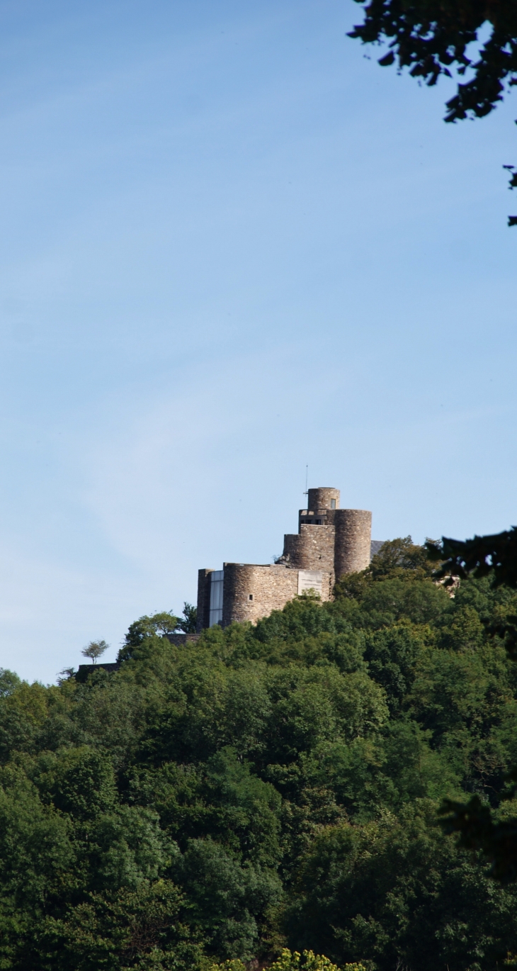 Château de Paulin 15 Em Siècle  - Paulinet