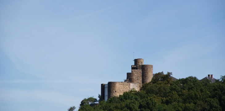 Château de Paulin 15 Em Siècle  - Paulinet