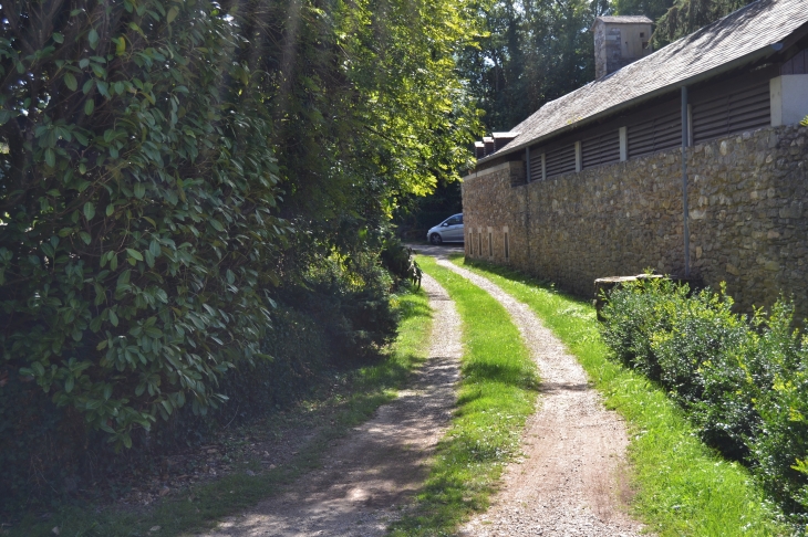 Château de Paulin 15 Em Siècle  - Paulinet