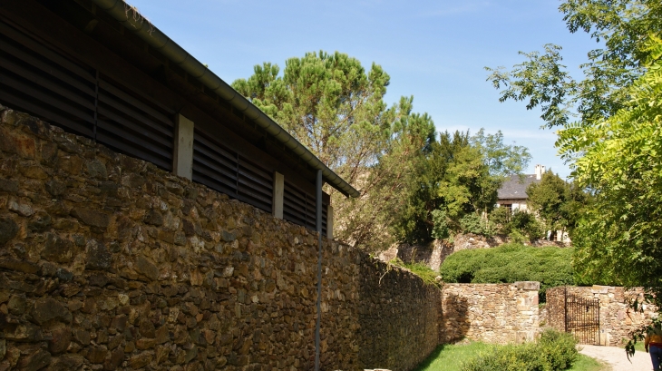 Château de Paulin 15 Em Siècle  - Paulinet