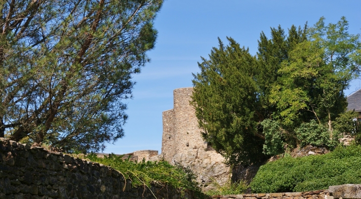 Château de Paulin 15 Em Siècle  - Paulinet