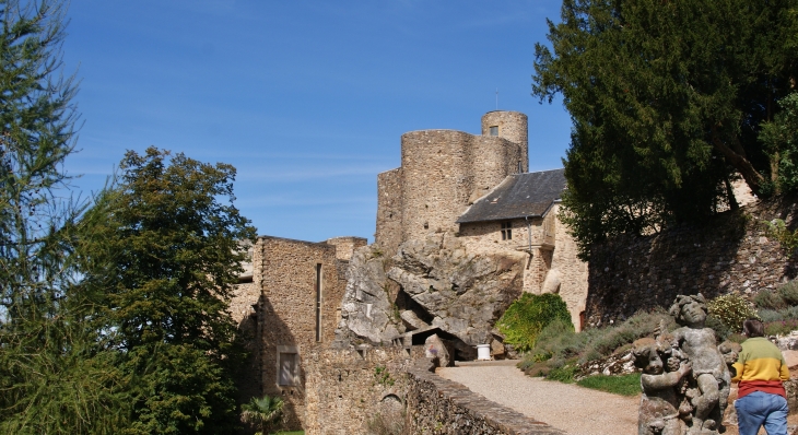 Château de Paulin 15 Em Siècle  - Paulinet