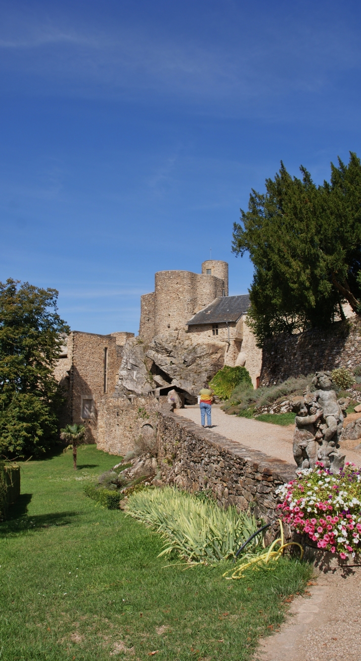 Château de Paulin 15 Em Siècle  - Paulinet