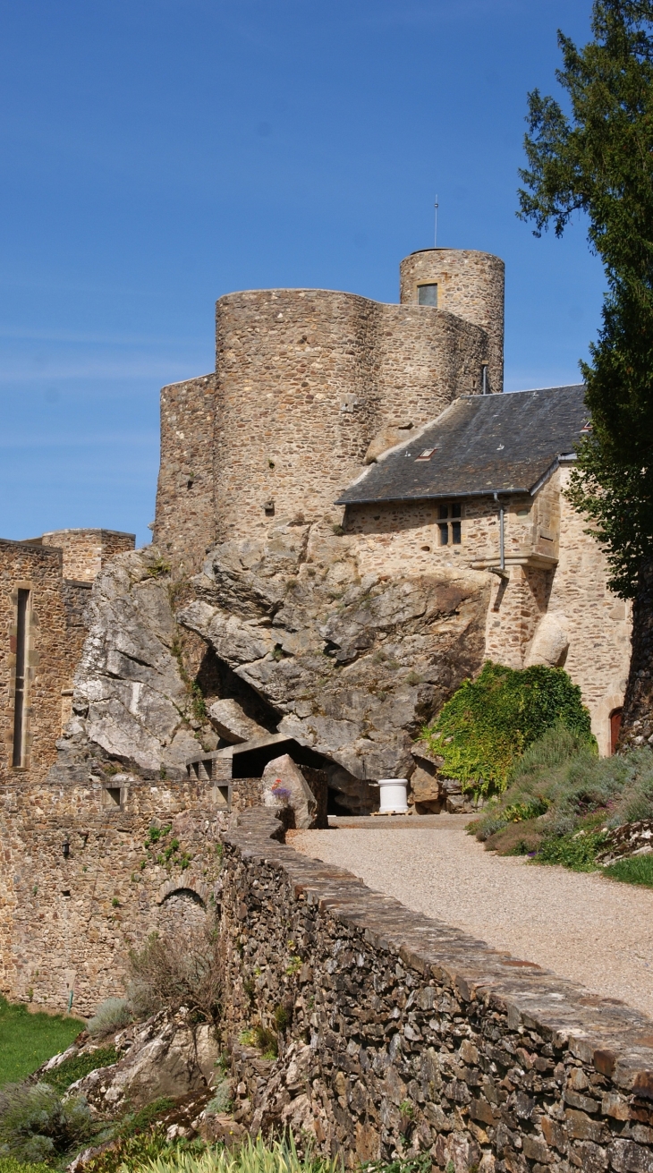 Château de Paulin 15 Em Siècle  - Paulinet