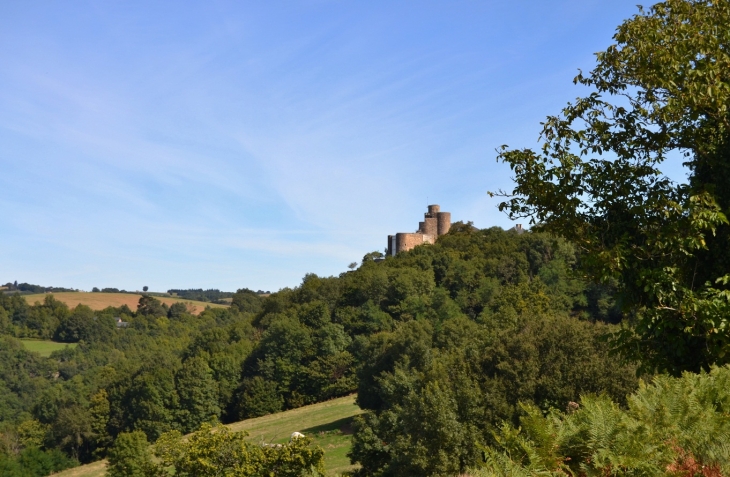 Château de Paulin 15 Em Siècle  - Paulinet