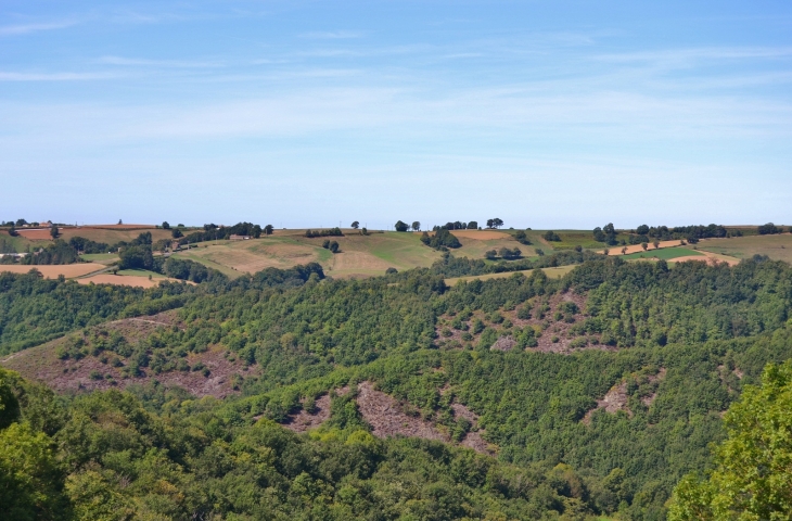 Château de Paulin 15 Em Siècle ( les Alentours ) - Paulinet