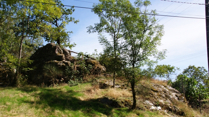 Château de Paulin 15 Em Siècle  - Paulinet