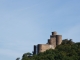 Photo précédente de Paulinet Château de Paulin 15 Em Siècle 