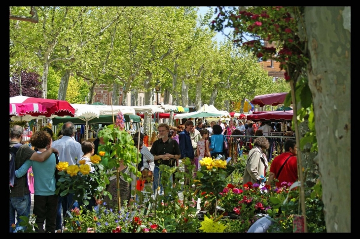 Rabastens, les floralies