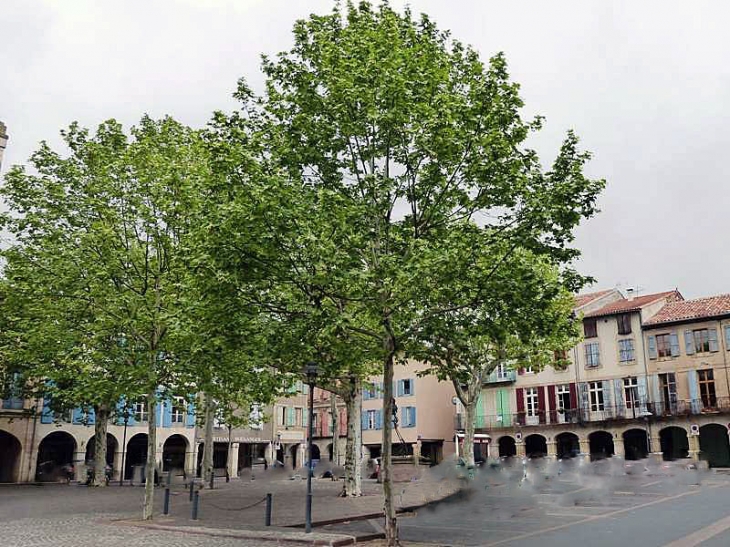 La place aux couverts - Réalmont