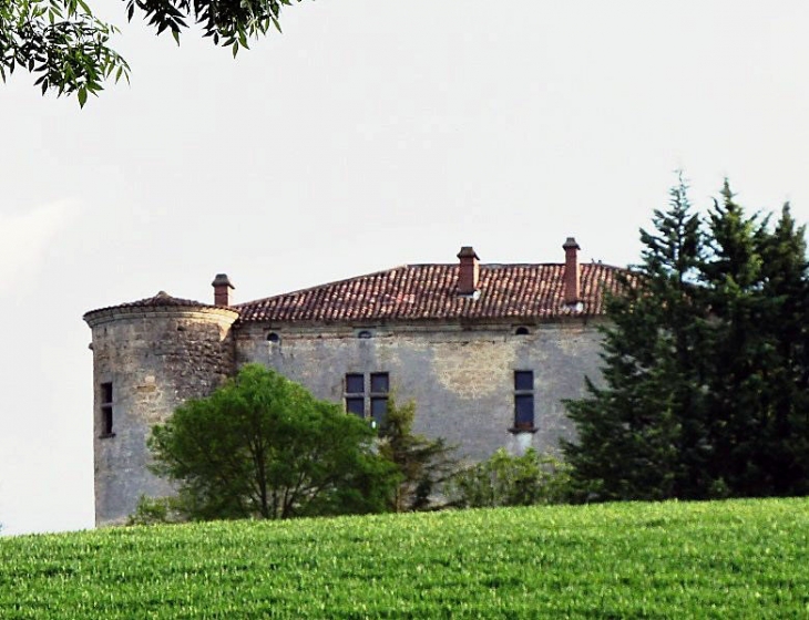 Le château - Roquevidal