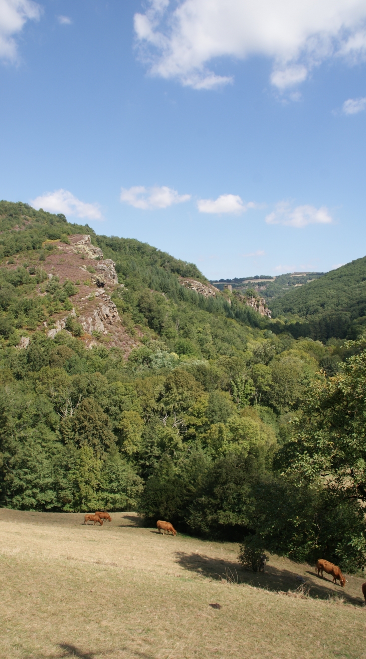 Travanet ( Commune de St Antonin de Lacalm ) - Saint-Antonin-de-Lacalm