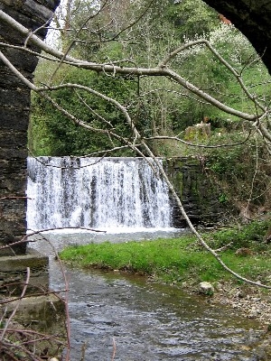 L'Aygou à St-Cirgue - Saint-Cirgue