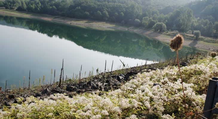 Barrage de la Bancalié - Saint-Lieux-Lafenasse