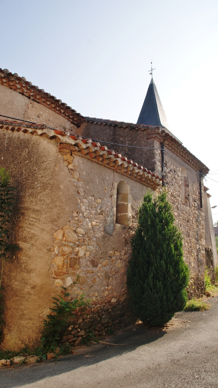 ..église Saint-Léonce - Saint-Lieux-Lafenasse