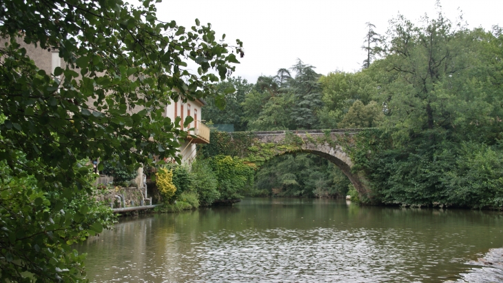 Pont-vieux-sur-le-dadou ( 1607 ) - Saint-Lieux-Lafenasse