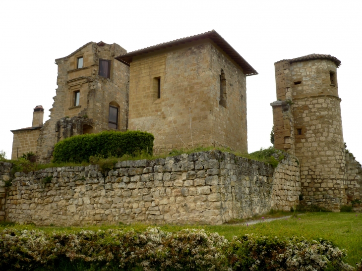 Le château de Magrin (classé monument historique) abrite le seul musée de Pastel de France, du nom de cette plante légendaire qui donnait du bleu par ses feuilles à toute l’Europe, à la Renaissance. - Saint-Paul-Cap-de-Joux