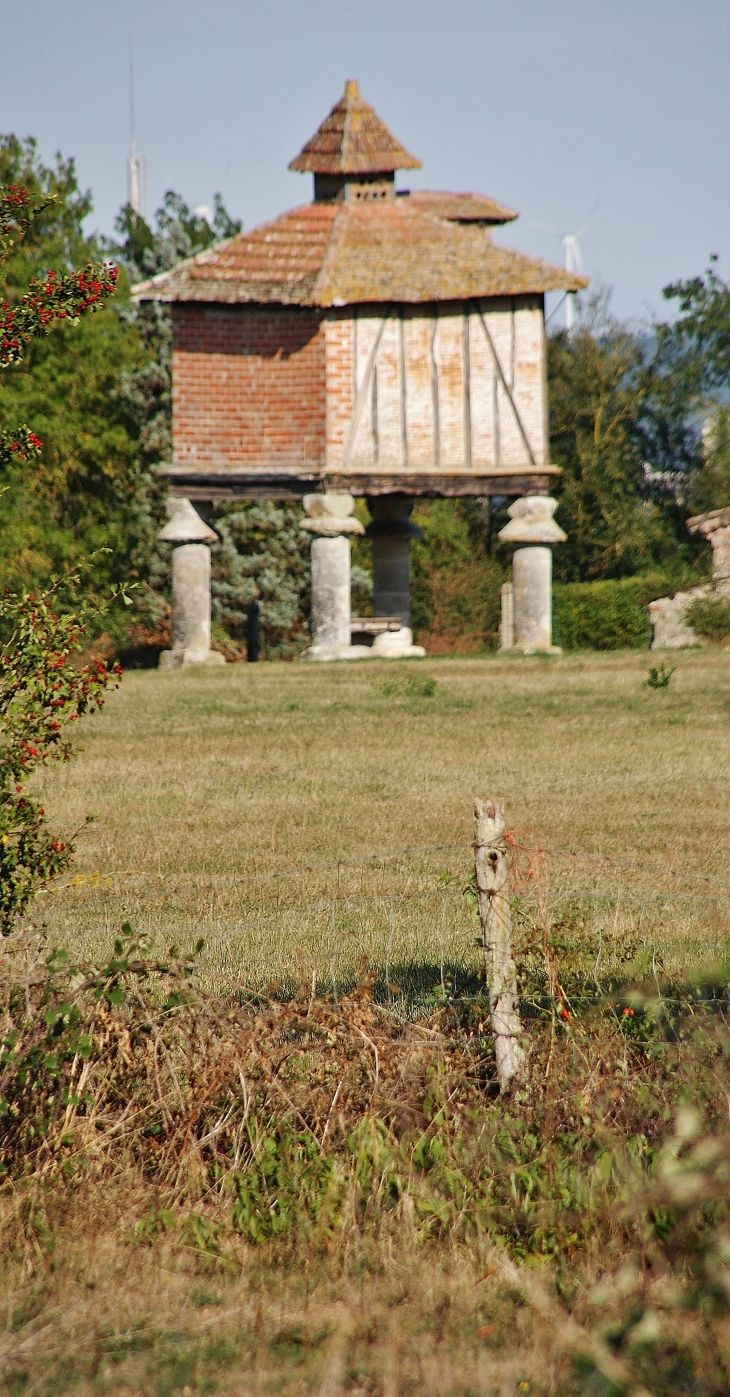 Pigeonnier - Saint-Paul-Cap-de-Joux