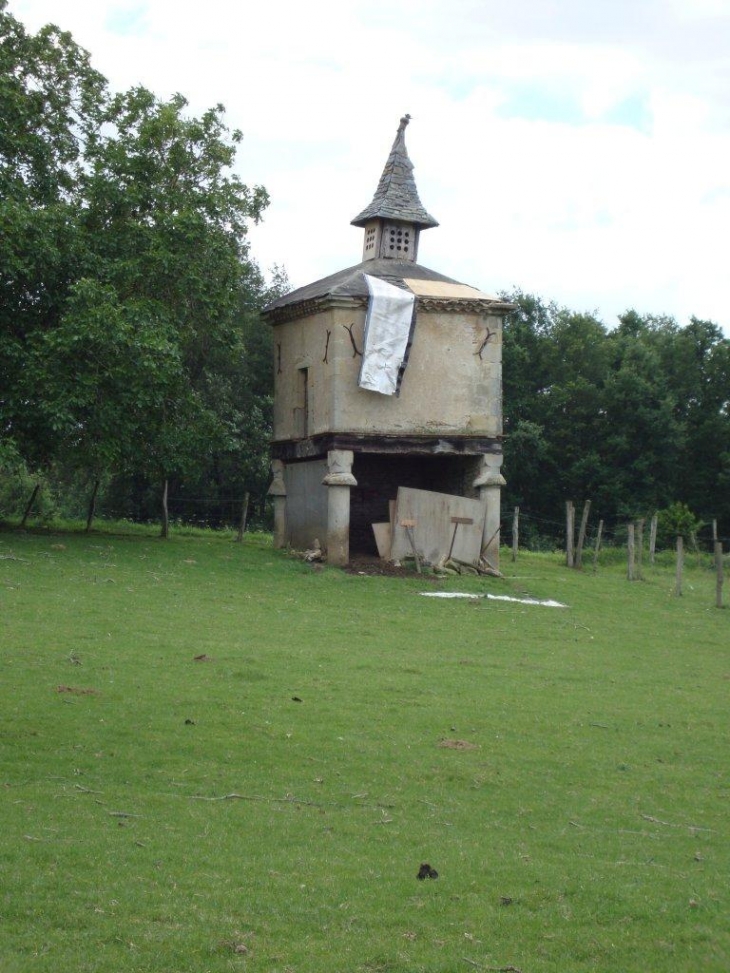 Saïx (81710) pigeonnier