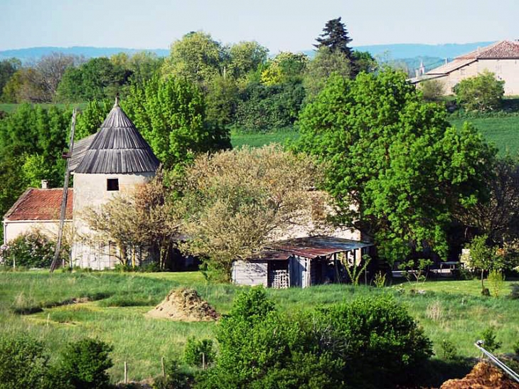 Saint Angel : le moulin - Salvagnac