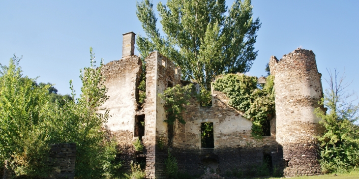 Ruines du chateau-de-granval-au-barrage-de-razisse - Teillet