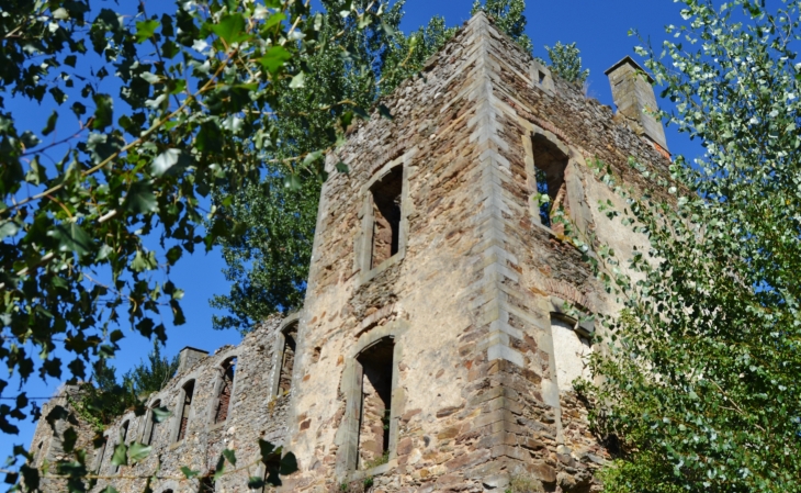 Ruines du chateau-de-granval-au-barrage-de-razisse - Teillet