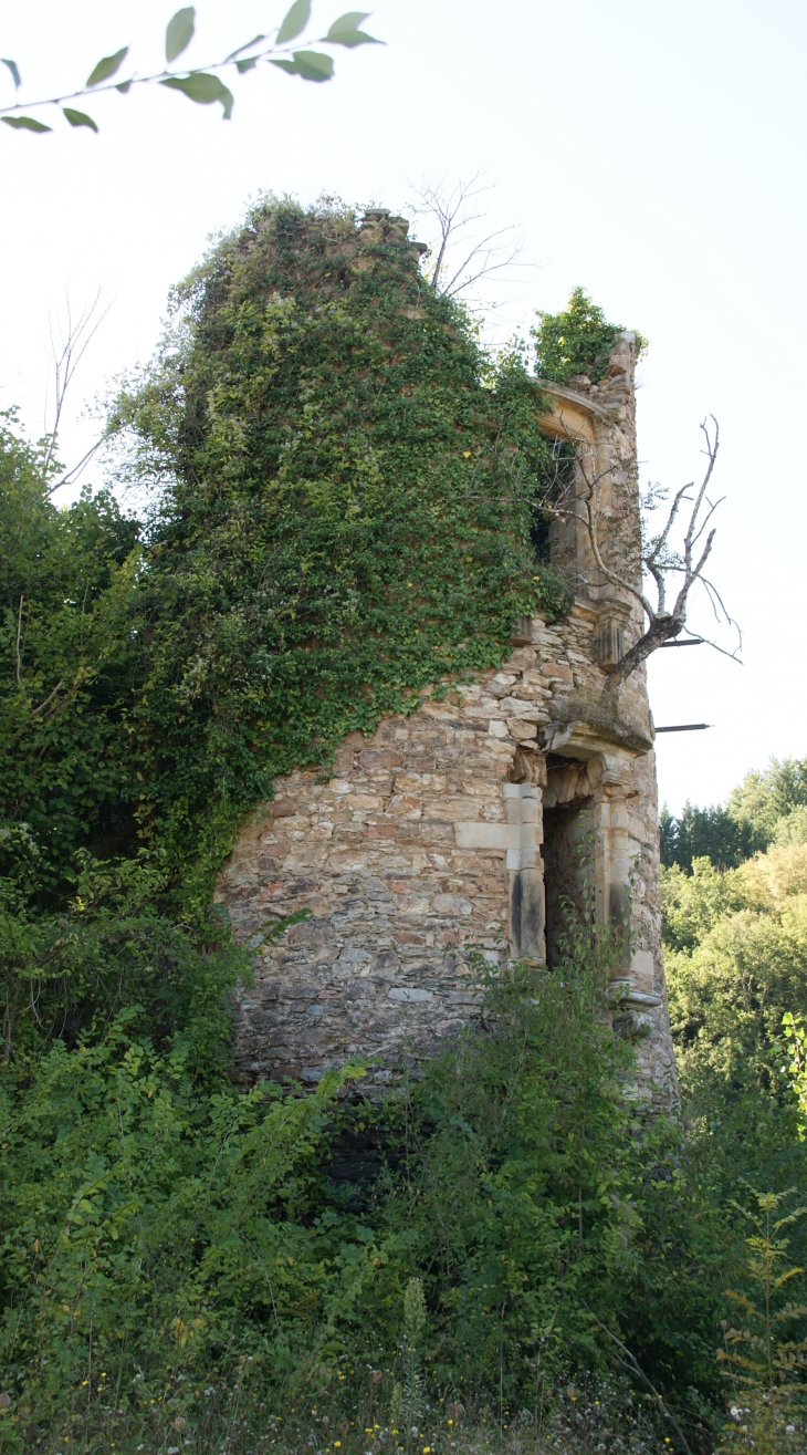 Ruines du chateau-de-granval-au-barrage-de-razisse - Teillet