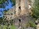 Photo précédente de Teillet Ruines du chateau-de-granval-au-barrage-de-razisse