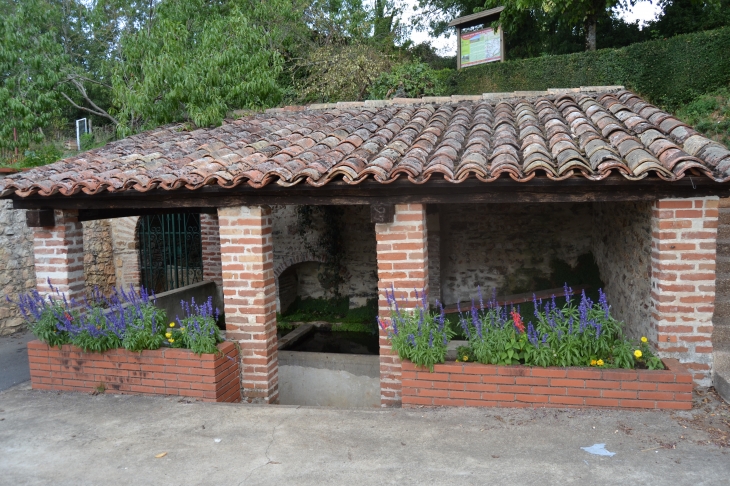 Lavoir a Saint-Salvy-de-Foureste - Terre-Clapier