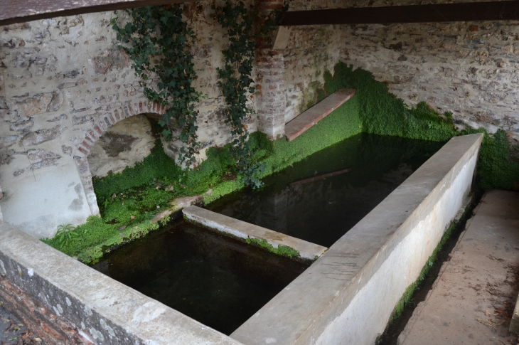 Lavoir a Saint-Salvy-de-Foureste - Terre-Clapier