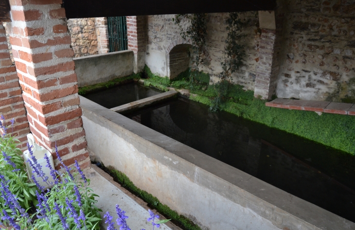 Lavoir a Saint-Salvy-de-Foureste - Terre-Clapier